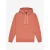 Hoodie Quiksilver Salt Water