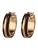 Lauren Ralph Lauren Oorbellen  donkerbruin / goud
