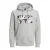 Hoodie Jack & Jones Jcodust