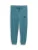 TOM TAILOR Sportbroek  aqua