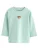 Next Shirt  azuur / bruin