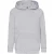 Fruit of the Loom Lichtgewicht hoodie kinderen/kinderen