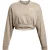Under Armour Dames Rival cropped sweatshirt met ronde hals van badstof (Bruin)