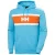 Sweatshirt Helly Hansen Salt Cotton