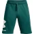 Under Armour Heren rival fleece shorts groot logo