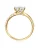 Trilani Ring  goudgeel / zilver