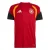 ADIDAS PERFORMANCE Tricot ‘DFB TR JSY’  rood