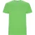 Roly Heren Stafford T-Shirt (Oase Groen)