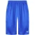 Mizuno Authentic BB Heren Blauwe Shorts