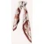 Notre-V Sjaals Zaya Creme