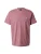 Iriedaily Shirt  sering / wit
