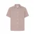 Shirt Solid SDAllan