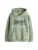 Superdry & Co Sweatshirt  groen / donkergroen