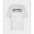 Esqualo T-shirt f26-05536 offwhite/merlot