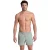 Arena Men’s  Pro_file Beach Short Logo Jade-salmon Pink