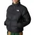 The North Face Saikuru Winterjas Heren
