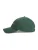 Tommy Jeans Pet  groen / wit