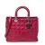 Large Lady Dior Zip  Schoudertas