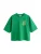 Next Shirt  lichtblauw / grasgroen / lichtgroen / abrikoos