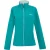 Regatta Dames/dames Connie V Softshell wandeljack (Exotisch pruim/Icy ochtend)