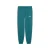 PUMA Sportbroek  smaragd / wit