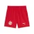 PUMA Sportbroek ‘FC Red Bull Salzburg 25/26’  rood / wit