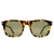 Serengeti Charlton SS576006 glanzende klassieke havana mineraal gepolariseerde 555nm fotochromische zonnebril