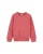 WE Fashion Sweatshirt  pink