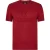Canterbury Heren Monument 2025 British & Irish Lions T-Shirt (Rode Dahlia)