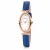 Montre femme Folli Follie wf16r031ss (Ø 18 mm)
