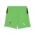 PUMA Sportbroek ‘Borussia Mönchengladbach 25/26’  groen / zwart / wit