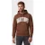 GANT Graphic Hoodie Mahogany Brown