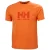 T-shirt Helly Hansen Logo 3.0