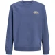 Jack & Jones Sweat 12309118 jornorre