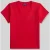Polo Ralph Lauren regular fit T-shirt van puur katoen