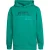 Petrol Industries – Jongens Artwork hoodie Wenatchee – Groen