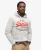 Superdry Mannen Duo Vintage Hoodie met Logo Lichtgrijs