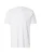 QS Shirt  wit