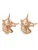 Hey Happiness Oorbellen ‘Unicorn Charm’  rose-goud