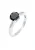 ELLI Ring  zwart / zilver
