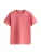 Next Shirt  pitaja roze
