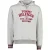 Hoodie Tommy Hilfiger grijs