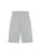 DICKIES Broek  lichtgrijs