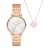 Armani Exchange Lola Dames Horloge Rosékleurig AX7145SET