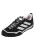 ADIDAS TERREX Lage schoen  zwart / wit