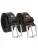 JCC Riem ‘31025096’  bruin / zwart