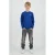 Raizzed longsleeve met backprint blauw