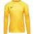 Nike Heren gardien iv keepershirt