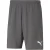 Puma Heren TeamRISE Sweat Shorts (Grijs)