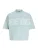 JACK & JONES Shirt ‘JCOBIARRITZ’  mintgroen